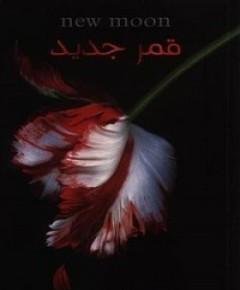 الشفق — غلاف
