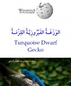 القزم — غلاف