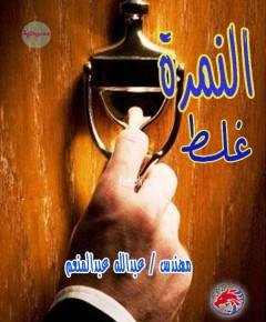 النمرة غلط — غلاف