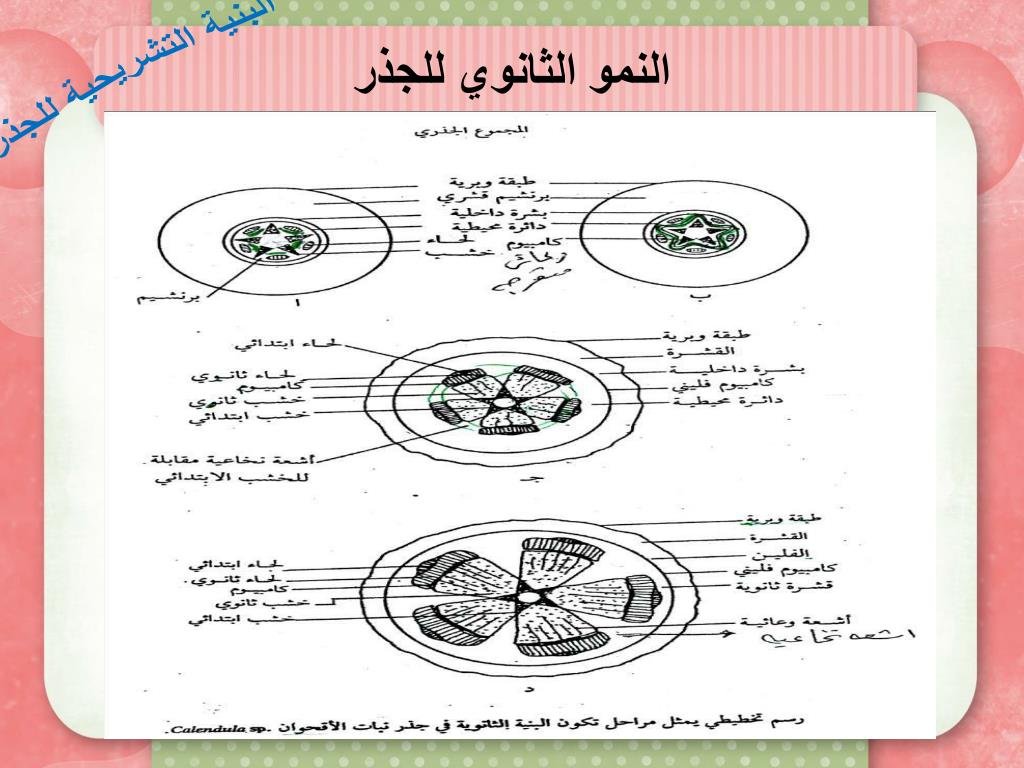 تامر يتعلم المشاركة — غلاف