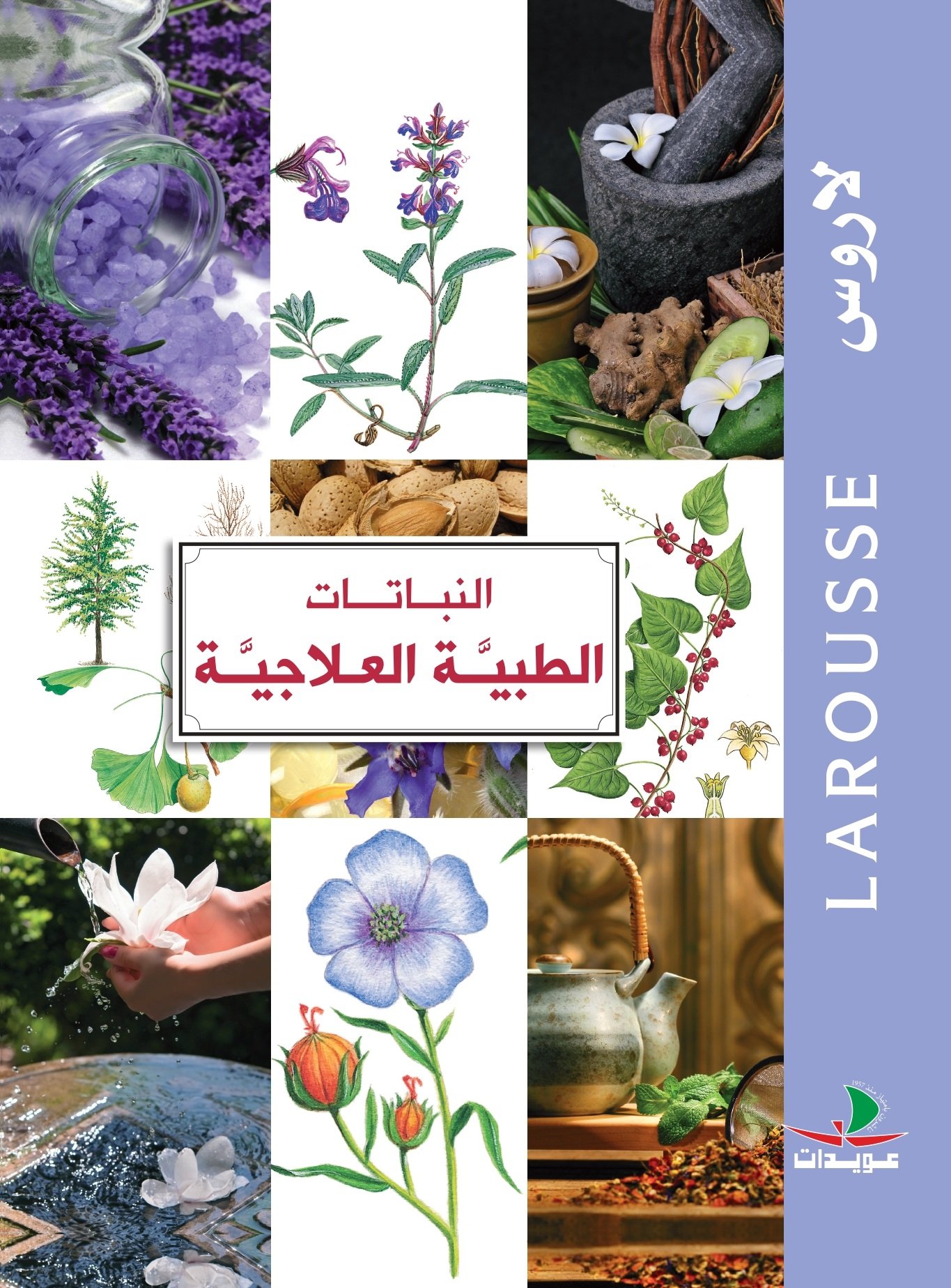 النباتات الطبية العلاجية — غلاف