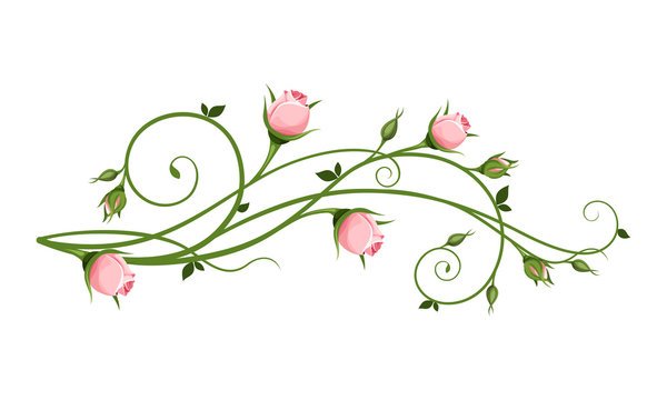 الأميرة وعضّة الكلب الأسود (الاكتئاب) — غلاف