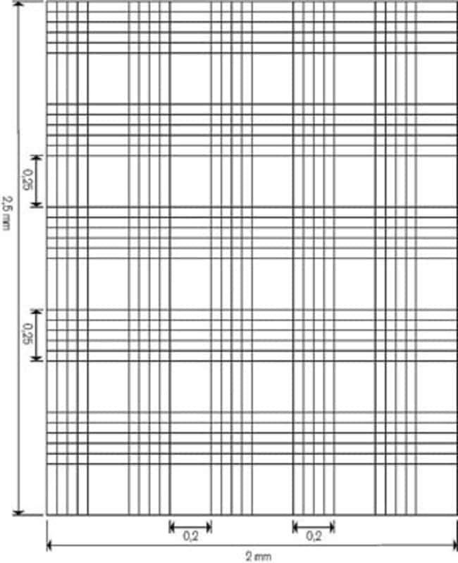 قاموس روسي - عربي : مدرسي
