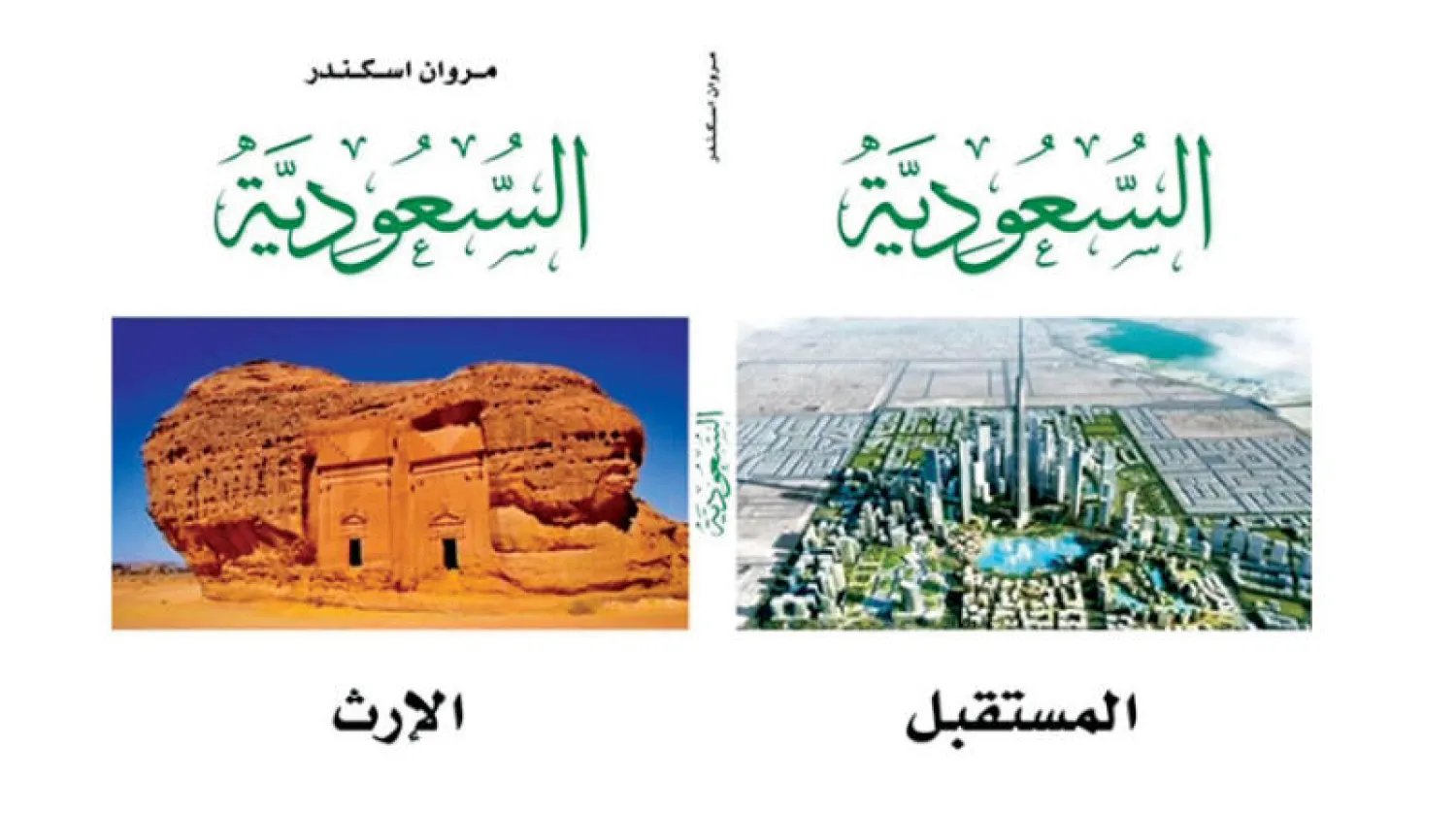 الدب ينقلب نمراَ روسيا : الولادة الجديدة — غلاف