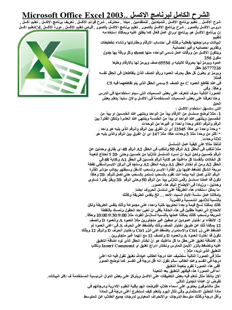 ميكروسوفت أوفيس إكسيل 2003 — غلاف