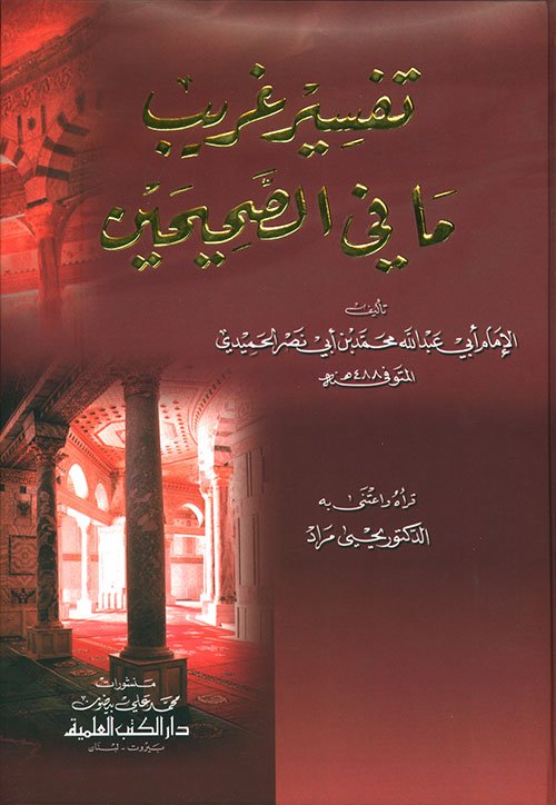 تفسير غريب ما — غلاف