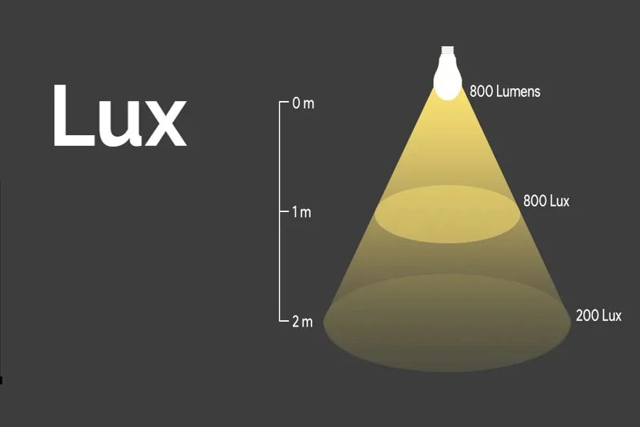 من حواشي العمر