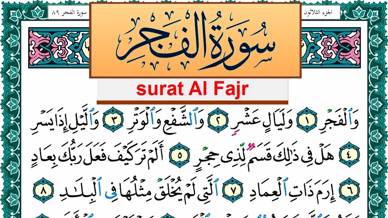 الإنسان ليس عقلاً