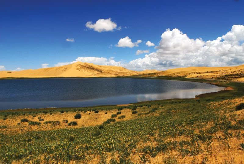رسالة القضاء والقدر — غلاف