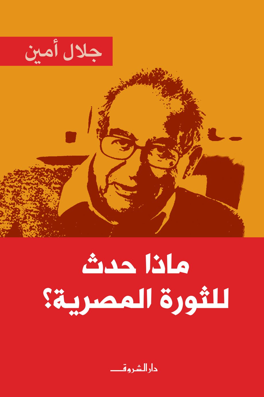 ماذا حدث للثورة المصرية ؟ — غلاف
