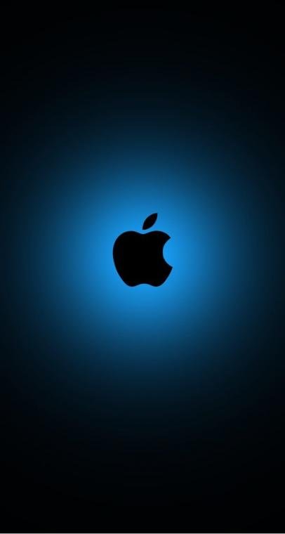 القيامة الصغرى : فرنسي — غلاف