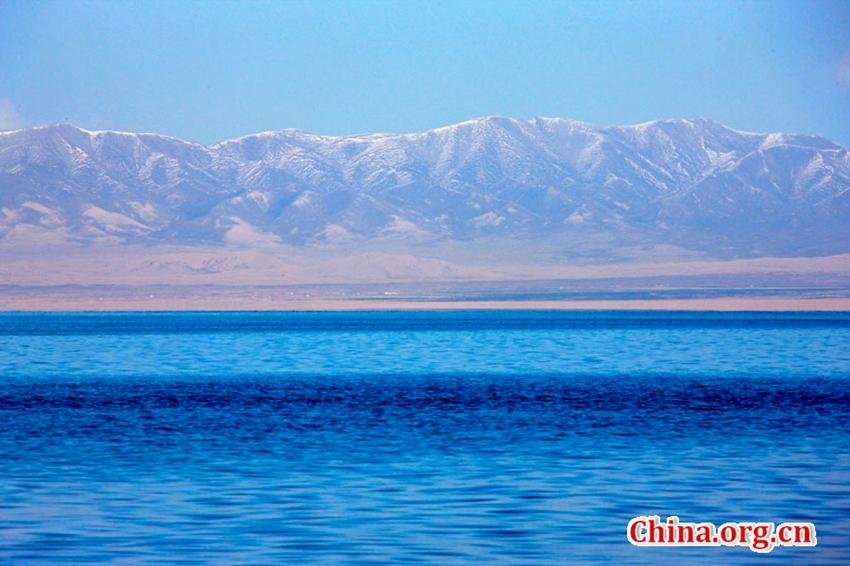 كونغو يوزع جرائد — غلاف
