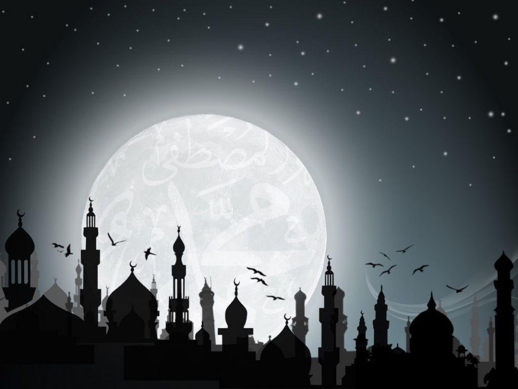 الراديكالية نظريات في مشروعية العنف والتطرف — غلاف