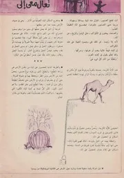صندوق الدنيا