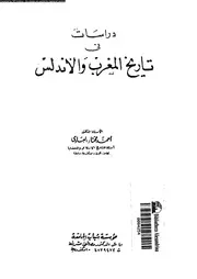 النقوش الآثارية مصدرا للتاريخ الإسلامي والحضارة الإسلامية 14975