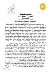 تعليمات تنفيذية رقم 17 لسنة 2025