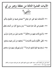 الأبيات العشرة الثالثة زهير، مصحوبة بمختصر في بيان غريب الكلمات
