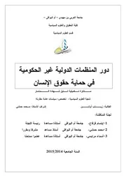 دور المنظمات الدولية غير الحكومية في حماية حقوق الإنسان