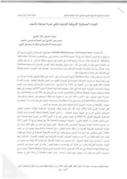 القيادة العسكرية الأمريكية لإفريقيا تتلقى ضربة موجعة بالنيجر بلال المصري