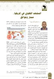 المشهد اللغوي في إفريقيا، مسار وعوائق إسماعيل زنغو برزي