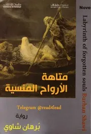 متاهة الأرواح المنسية رواية - برهان شاوي