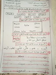 تقويم مرحلي في اللغة العربية و الإيقاظ العلمي للسنة التحضيرية