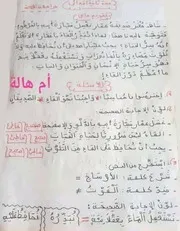 تقويم شهر ماي في اللغة العربية للسنة الثانية ابتدائي