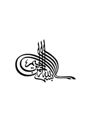 ترجيحات أبي حيان الأندلسي في التفسير