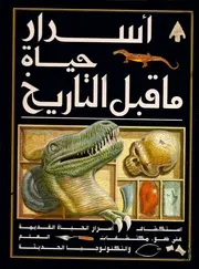 ◘حياة ما قبل التاريخ