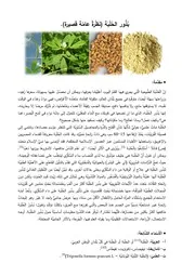 بُذُور الحُلْبَة (نَظْرةٌ عامّة قَصيرة
