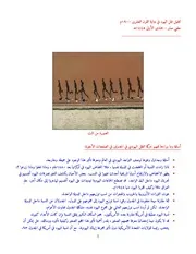 تحليل ظل اليهود بداية القرن العشرين