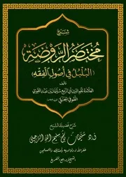 شرح مختصر الروضة البلبل في أصول الفقه
