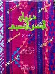 ديوان الادب الشعبي المجلد الثاني