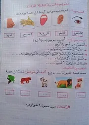 تقويم في التربية العلمية نموذج 2 للسنة الأولى ابتدائي