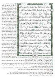 المختصر في التفسير . الزهراوين