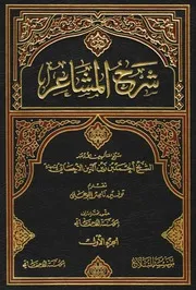 أحمد بن زين الدين