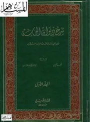 شرح ديوان الحماسة المرزوقي