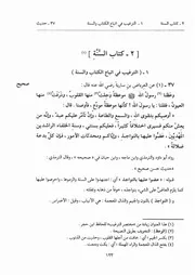 كتاب صحيح الترغيب و الترهيب 02.0 كتاب السنة