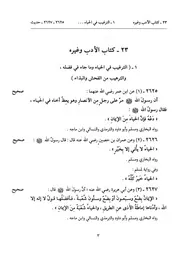 كتاب صحيح الترغيب و الترهيب 23.0 كتاب الأدب وغيره