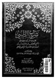 شرح الطيبى على مشكاة المصابيح