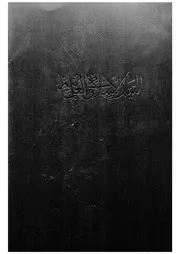 التيار الاسلامى والعلمانية