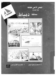 محافظة دمياط