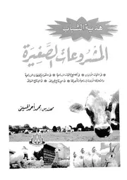 المشروعات الصغيرة