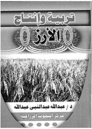 تربية وانتاج الارز