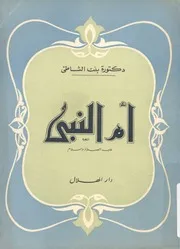 ام النبى عليه الصلاة والسلام