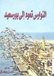 النوارس تعود الى بورسعيد