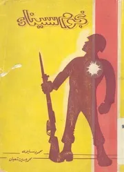 نجوم سيناء