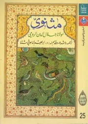 مثنوى 2