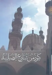 كنوز من شارع الصليبة