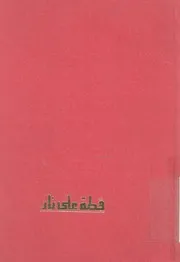 قطة فوق سطح صفيح ساخن